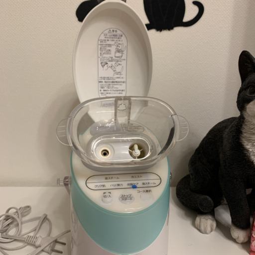 Panasonic 美顔器