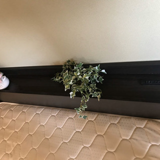 ベッドフレーム マットレス付き ダブ棚コンセント付きフロアベッド mon ange モナンジェ スタンダードボンネルコイルダブル おすすめ ローベット の画像