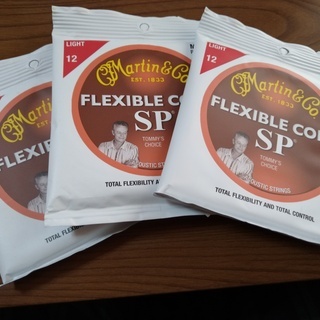 aNueNue Bird Guitar aNN-M12 ミニアコースティックギターの画像