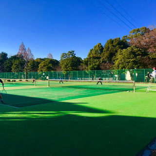 【11月13日(水)】ソフトテニス やります！ - 墨田区