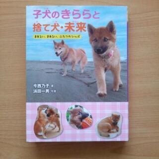 読書感想文に最適！子犬のきららと捨て犬未来