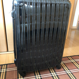 キャリーバッグLサイズ