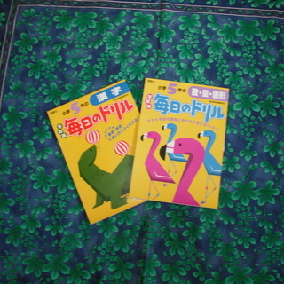 5年生ドリル漢字算数２冊で２５０円