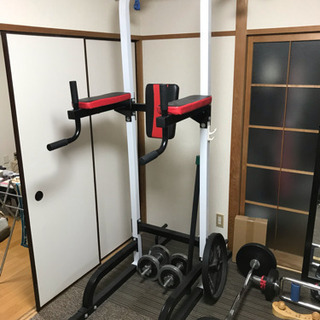 アイロテック チンニング ディップ スタンドの画像