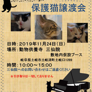 保護猫譲渡会　　土岐市三仙院　20191124