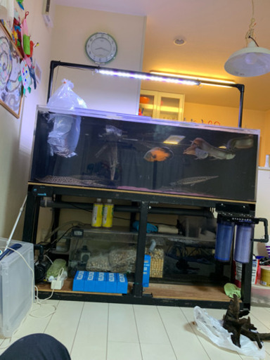 12/6(金)限定値下げ　1500×800×500 SF水槽