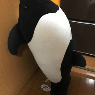 イロワケイルカのぬいぐるみの画像