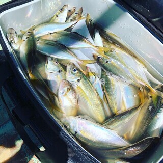 釣りこみゅ