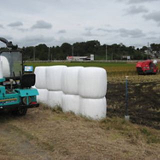 即月収30万円以上？時給1500円 農地造成のお仕事です。近隣の方大歓迎！2食500円の画像