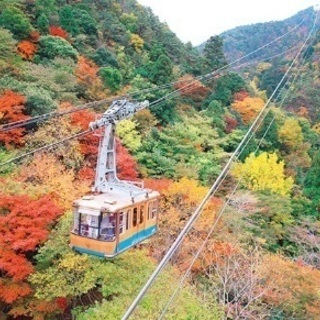 11/23(土)六甲山ハイキング
