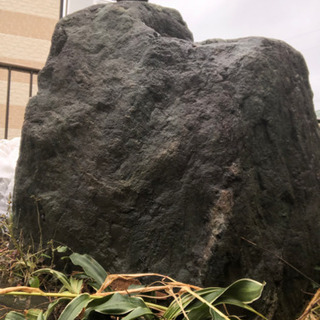 庭石あげます❗️の画像