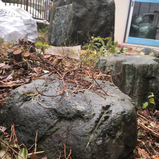 庭石あげます❗️の画像