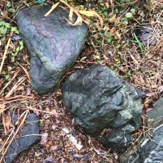 庭石あげます❗️の画像