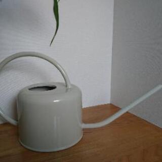 【美品】値下げ オシャレ じょうろ 水差し 金属製 白