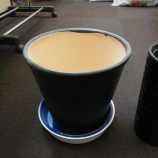 鉢　