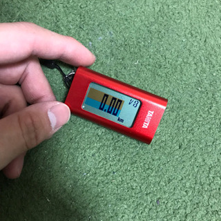 タニタ カロリズム？