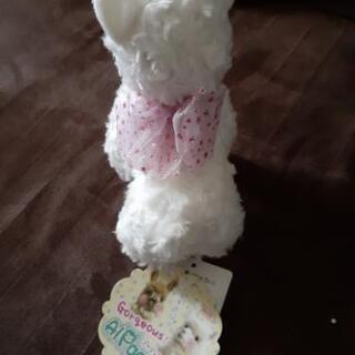 ｺﾞｰｼﾞｬｽアルパカッソぬいぐるみの画像