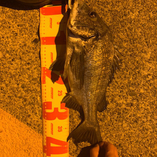 釣り仲間