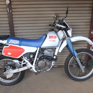 XLR250CCの画像