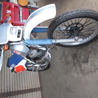 XLR250CCの画像