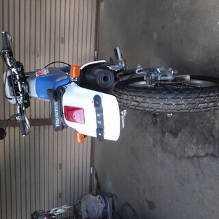 XLR250CCの画像