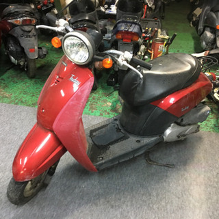 おしゃれ★実働★格安原付 トゥデイ 静かで燃費いい！ スクーター...