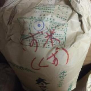 今年も登場❗くず米❗️
令和3年収穫の愛知県産、
あいちのかおり...