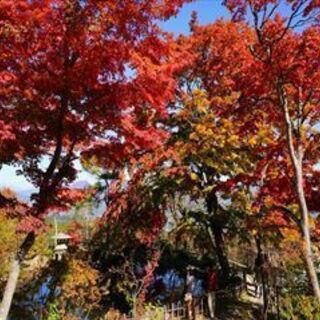 ４月　高尾山に行こう！　東京登山サークル　活動中10年目！