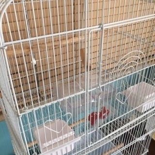 メタルテック 鳥かご バードゲージ 2段式の画像