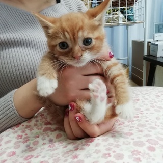 こちらですぐに素敵なご縁が見つかりました。ありがとうございます(...
