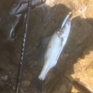 ルアー釣り仲間