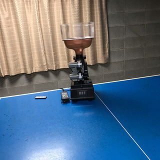 卓球　個人レッスンの画像