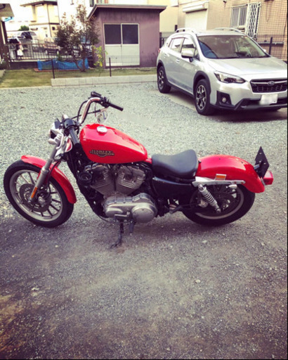 ハーレーダビッドソン　スポーツスター　xl883l