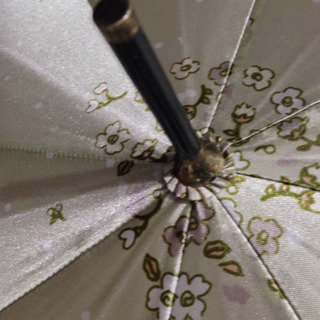 【終了】緑色の花柄長傘の画像