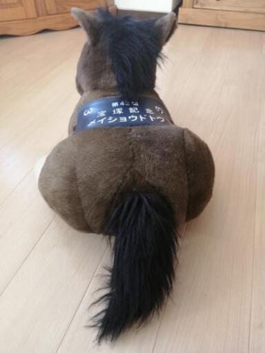 競馬　ソメイヨシノ　42回宝塚記念　約70cm
