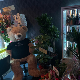 《急募》barオープニングスタッフ募集！日払い可 服装ネイルピアス髪型自由　カジュアルバー　カラオケバー の画像