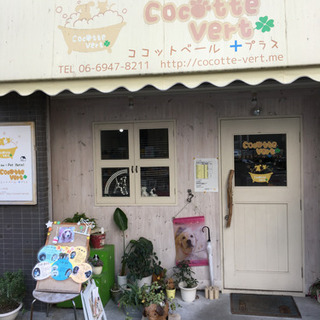 店長チーフ候補★トリマー急募★地域密着の人気店で一緒に働きませんか？の画像