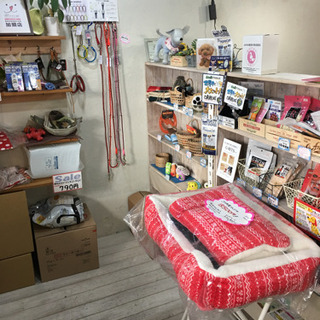 店長チーフ候補★トリマー急募★地域密着の人気店で一緒に働きませんか？の画像