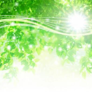 携帯操作案内🌸高収入！経験者優遇です☘