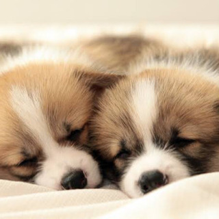 現状に不満や不安がある方！お話しましょう☺️