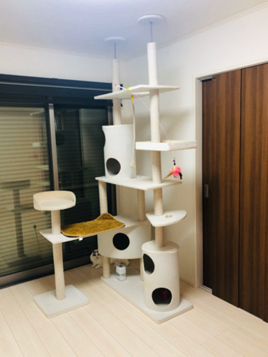 キャットタワー(中古品)