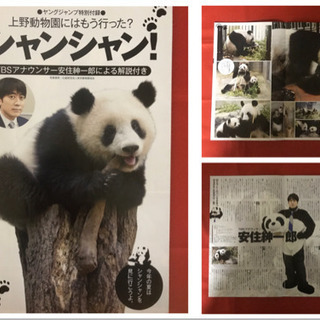    ヤングジャンプ 特別付録 シャンシャン 小冊子 