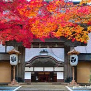 高野山の紅葉見に行きませんか