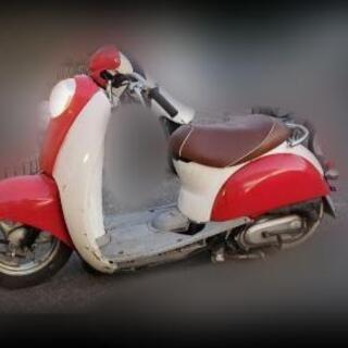 不動スクーピー　ローダウン