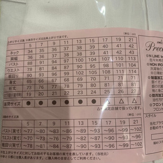 ブラウス　スキッパーカラー　15号の画像