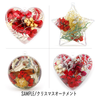 【東京・新宿御苑】【数量限定】クリスマスガラスツリー作成レッスン - イベント