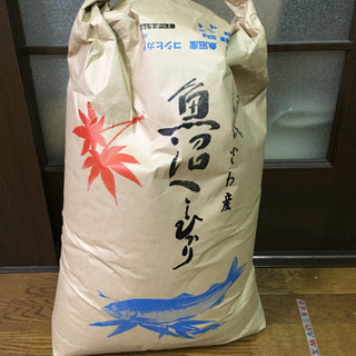 南魚沼産 こしひかり 古米  商談中