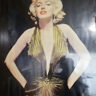マリリン　モンロー　パネル写真と写真集