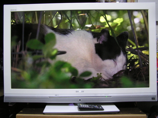 取引終了 ☆ソニー32型テレビ ◇おしゃれな白 ブラビア KDL-32JE1☆1週間の動作保証します。