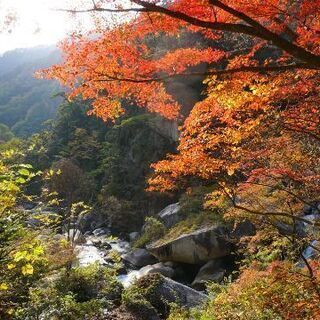 山友達募集！(^^)